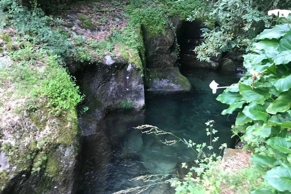 Willa Casa Do Eido Da Torre, Ponte De Lima Zewnętrze zdjęcie